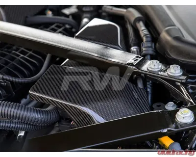 RW Carbon CF Battery Terminal Cover BMW G87 M2 2022+ - bmwg87019
