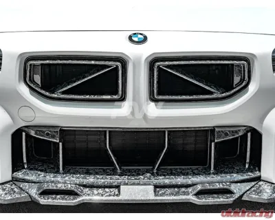 RW Carbon Forged Carbon OE Style Center Bumper Trim BMW G87 M2 2023+ - bmwg87038