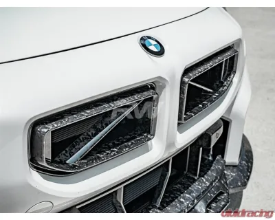 RW Carbon Forged Carbon GTX Grilles BMW G87 M2 2023+ - bmwg87039