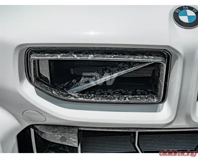 RW Carbon Forged Carbon GTX Grilles BMW G87 M2 2023+ - bmwg87039