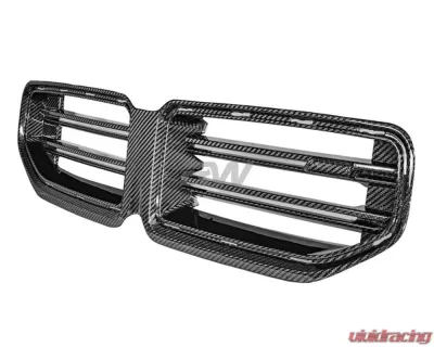 RW Carbon CF OEM Style Grille BMW G87 M2 2023+ - bmwg87044