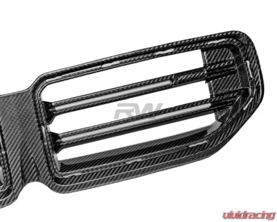 RW Carbon CF OEM Style Grille BMW G87 M2 2023+ - bmwg87044