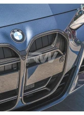 RW Carbon CF CSL Style Grille BMW i4 2022+                                     - bmwi4004 - Image 4