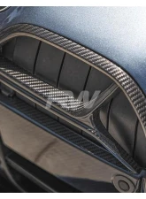 RW Carbon CF CSL Style Grille BMW i4 2022+                                     - bmwi4004 - Image 5