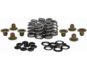 KPMI Racing Valve Spring Kit .625 Lift H.T. Steel Retainer