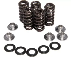 KPMI Racing Valve Spring Kit 30-30640