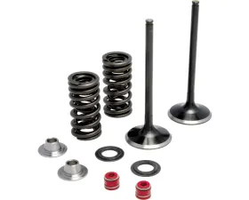 KPMI Intake Valve Spring Kit Honda CRF450R 2002-2008