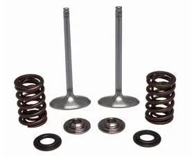 KPMI Intake Valve/Spring Kit Stainless Steel Honda CRF450RX | CRF450R | CRF450R W.E. 2017-2020