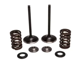 KPMI Intake Valve/Spring Kit Stainless Steel Honda TRX450R 2004