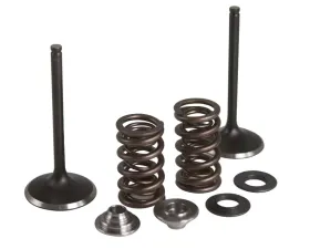 KPMI Intake Valve/Spring Kit Stainless Steel Yamaha