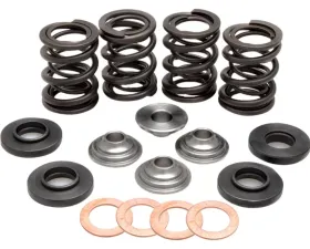 KPMI Racing Valve Spring Kit 96-96000