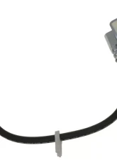 Raybestos Brakes Brake Hose Front Right BH381305                                     - BH381305 - Image 3
