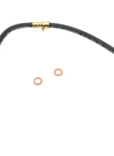 Raybestos Brakes Brake Hose Nissan Maxima Rear 1985-1988 BH38364                                     - BH38364 - Image 3