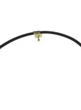 Raybestos Brakes Brake Hose Front Right BH38573                                     - BH38573 - Image 3