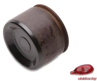Raybestos R-Line Brake Caliper Piston DP85028 - DP85028