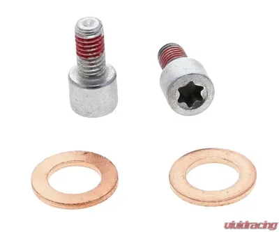 Raybestos Element3 New Semi-Loaded Caliper & Bracket Assembly Ford F-150 Rear Right 2015-2017 FRC12829N - FRC12829N