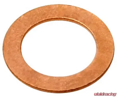 Raybestos R-Line Banjo Bolt Washer G1243 - G1243