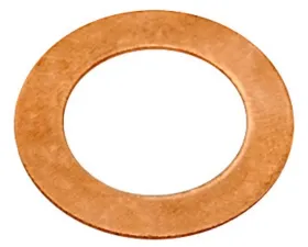 Raybestos R-Line Banjo Bolt Washer G1245