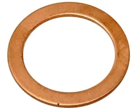Raybestos R-Line Banjo Bolt Washer G1246