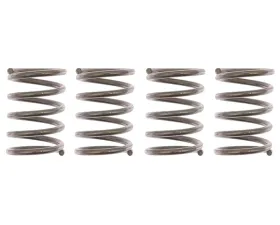Raybestos R-Line Hold Down Spring H1157