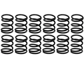 Raybestos R-Line Hold Down Spring Rear H1158