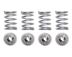 Raybestos R-Line Hold Down Spring Rear H1160