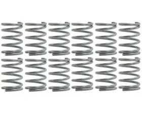 Raybestos R-Line Hold Down Spring H1168