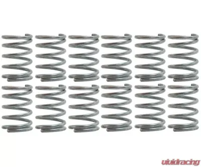 Raybestos R-Line Hold Down Spring H1168 - H1168