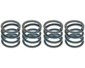 Raybestos R-Line Hold Down Spring Rear H1169K