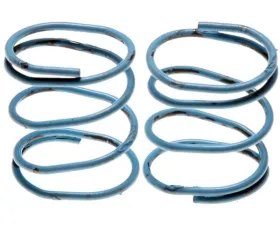 Raybestos R-Line Parking Brake Strut Spring Rear H1341