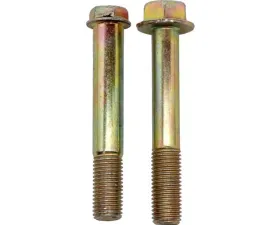 Raybestos R-Line Brake Caliper Bolt Kit Front H15056