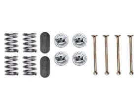 Raybestos R-Line Brake Shoe Hold Down Kit Rear H4043