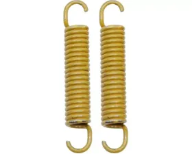 Raybestos R-Line Drum Brake Adj Screw Spring H407