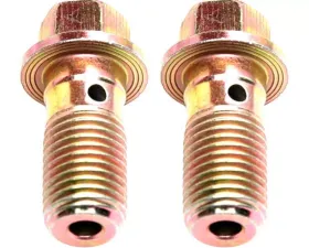 Raybestos R-Line Banjo Bolt H5370