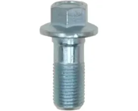 Raybestos R-Line Banjo Bolt H5381