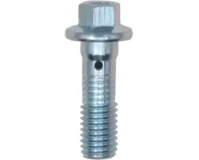 Raybestos R-Line Banjo Bolt H5383