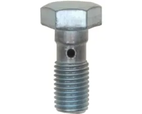 Raybestos R-Line Banjo Bolt H5384