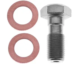 Raybestos R-Line Banjo Bolt Front H5386