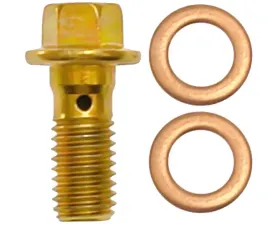 Raybestos R-Line Banjo Bolt Volvo XC90 Rear 2016-2020 H5390