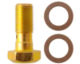 Raybestos R-Line Banjo Bolt H9504