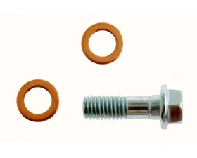 Raybestos R-Line Banjo Bolt Dodge Front 2017-2019 H9505