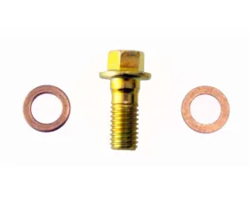 Raybestos R-Line Banjo Bolt Chevrolet Spark Front 2016-2017 H9507