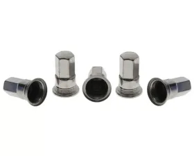 Raybestos Brakes Raybestos R-Line Wheel Fastener Cover N/A