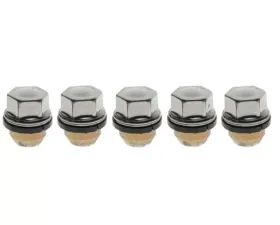 Raybestos Brakes Raybestos R-Line Wheel Lug Nut N/A