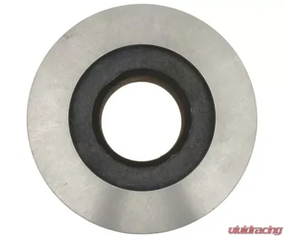 Raybestos Brakes Raybestos R-Line Brake Rotor - 8517R