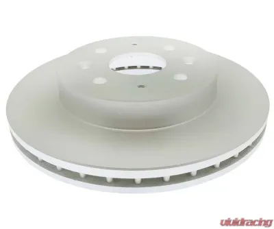 Raybestos Brakes Brake Rotor - 980241FZN