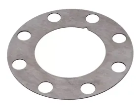 Raybestos Brakes Raybestos R-Line Brake Rotor Shim