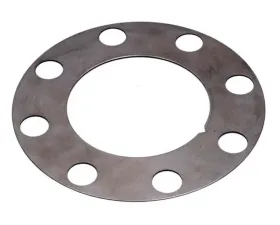 Raybestos Brakes Raybestos R-Line Brake Rotor Shim