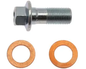 Raybestos R-Line Reman Semi-Loaded Caliper & Bracket Assembly Rear Right FRC11918