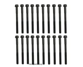 Beck/Arnley Engine Cylinder Head Bolt Set 016-1019
